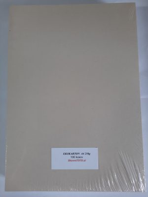 Karton ekološki A4 250g 100/1