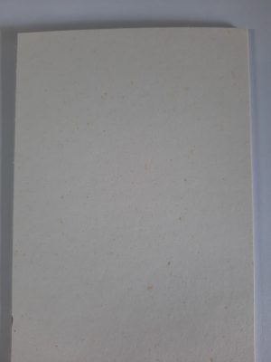 Papir ekološki A3 120g 250/1 - REMARKE (Oyster)